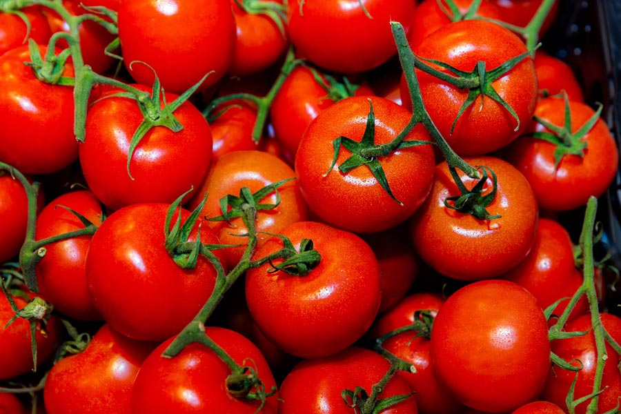 Frische rote Strauchtomaten in der Auslage.